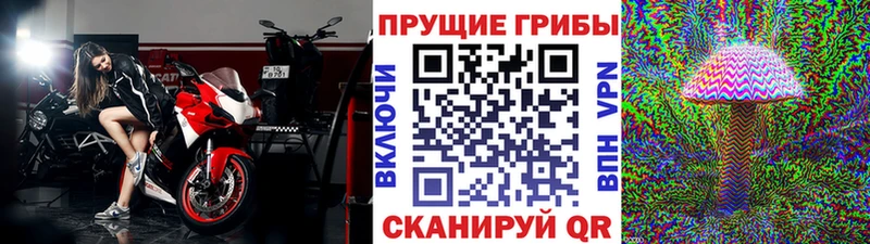 Галлюциногенные грибы MAGIC MUSHROOMS  Купить  Цивильск 